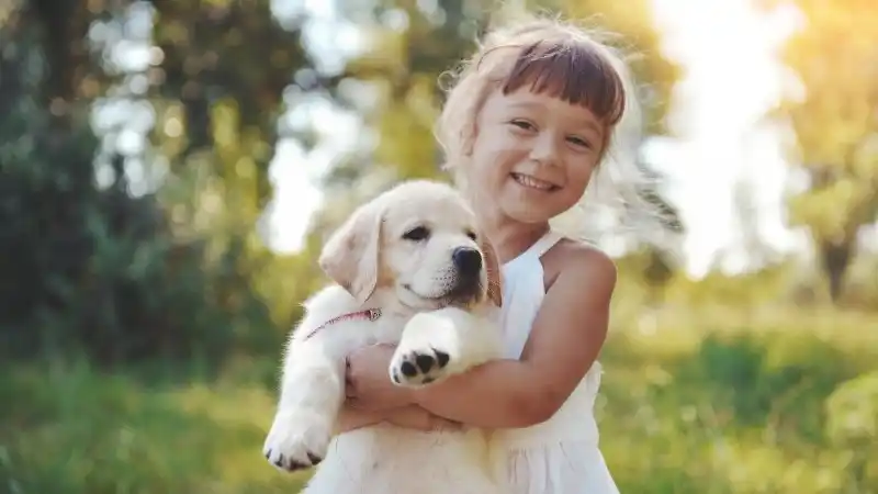 best-pet-insurance-akc-header