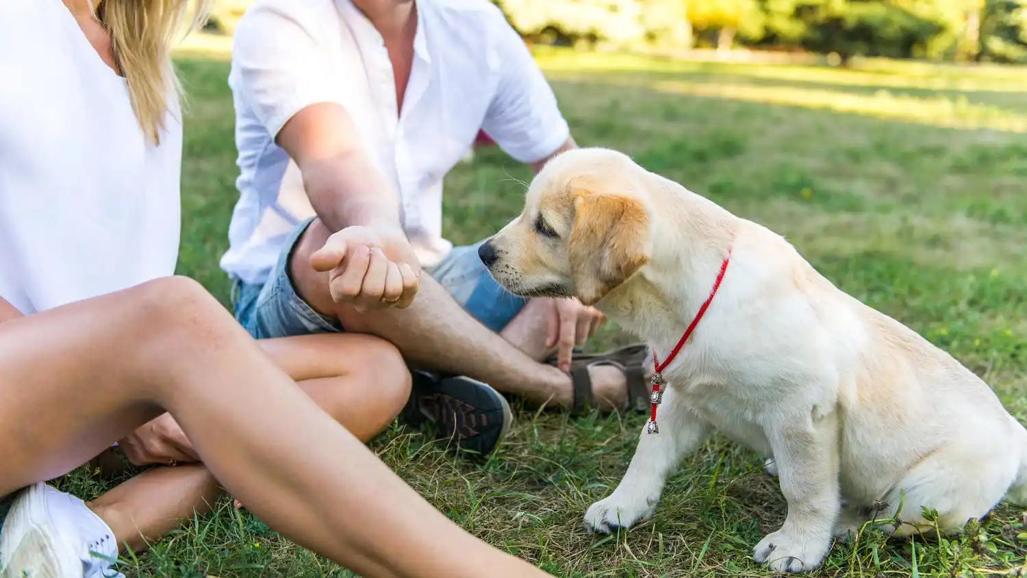 Two people sitting beside a zen puppy.